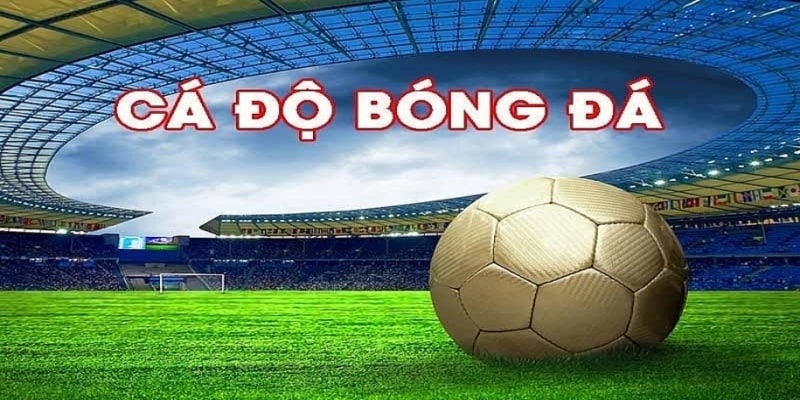 Hiểu rõ đội và giải đấu trước khi đặt kèo